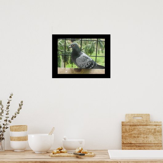 Perfecte duif poster (Keuken)