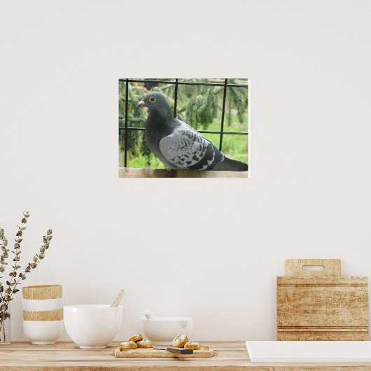 Perfecte duif poster (Keuken)