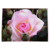 Perfecte Engelse Roze Roos Groot formaat Cadeauzakje (Voorkant)