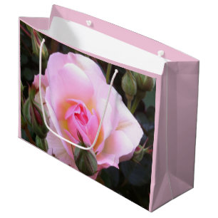 Perfecte Engelse Roze Roos Groot formaat Cadeauzakje
