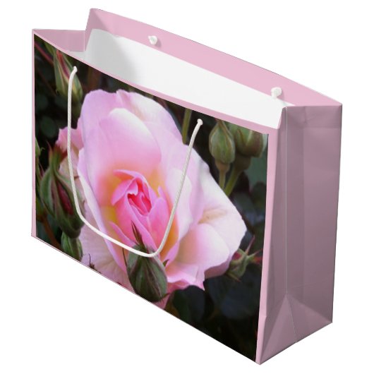 Perfecte Engelse Roze Roos Groot formaat Cadeauzakje (Voorkant Gekanteld)