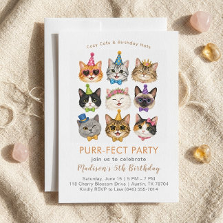 Perfecte Feest Uitnodiging Cute Kitty Katten Verja