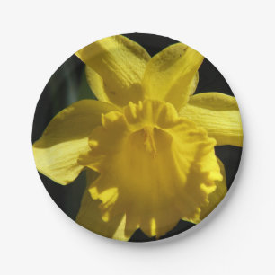 Perfecte Gele narcis Papieren Bordje