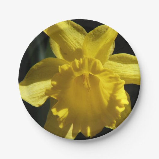 Perfecte Gele narcis Papieren Bordje (Voorkant)