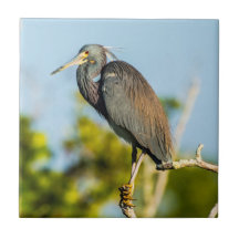 Perfecte keramische tapkunst voor vogels