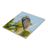 Perfecte keramische tapkunst voor vogels tegeltje (Zijkant)