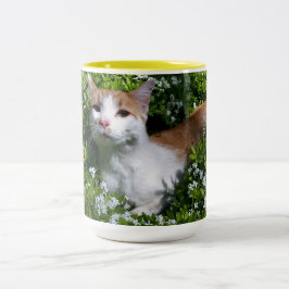 Perfecte koffiekop tweekleurige koffiemok