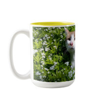 Perfecte koffiekop