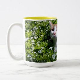Perfecte koffiekop tweekleurige koffiemok