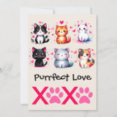 Perfecte Liefde Mooie Katten Valentijnsdag Thema Feestdagenkaart (Voorkant)