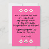 Perfecte Liefde Mooie Katten Valentijnsdag Thema Feestdagenkaart (Achterkant)