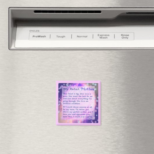 Perfecte moedermagneet magneet (Insitu (Vaatwasser))