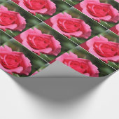 perfecte , mooie zomerfoto van een roze roos cadeaupapier (Hoek)