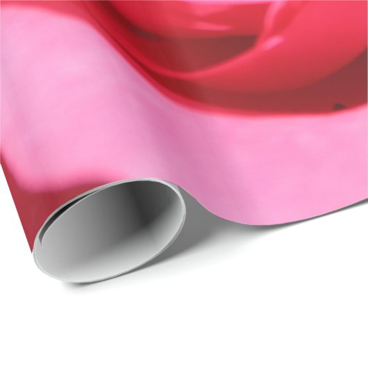 perfecte , mooie zomerfoto van een roze roos cadeaupapier (Rol Hoek)