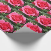 perfecte , mooie zomerfoto van een roze roos cadeaupapier (Hoek)