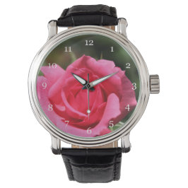 perfecte , mooie zomerfoto van een roze roos horloge