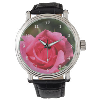 perfecte , mooie zomerfoto van een roze roos horloge
