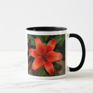 Perfecte Oranje Lily Flower Mok