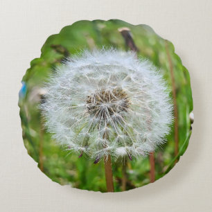 Perfecte Paardenbloem – Botanische Macro Fotografi Rond Kussen