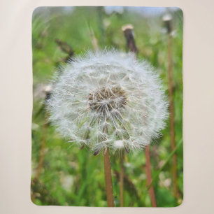 Perfecte Paardenbloem – Botanische Macro Fotografi Sherpa Deken