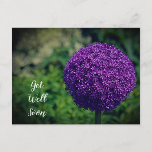 Perfecte paarse Allium-bloem Beterschap Briefkaart