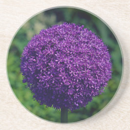 Perfecte Paarse Allium Flower Aesthetics Zandsteen Onderzetter