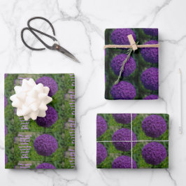 Perfecte Paarse Allium Flower Motivatie Quote Inpakpapier Vel