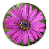 Perfecte Paarse ventilator Keramische Knop (Voorkant)