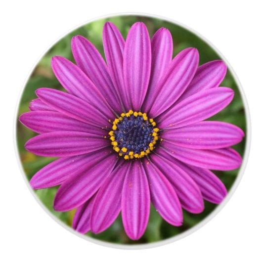 Perfecte Paarse ventilator Keramische Knop (Voorkant)