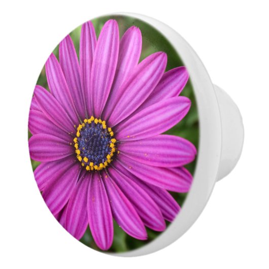 Perfecte Paarse ventilator Keramische Knop (Rechts)