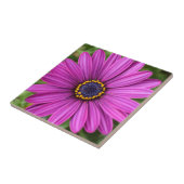 Perfecte Paarse ventilatorkop Tegeltje (Zijkant)