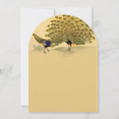 Perfecte Pair Peacock Gele Elegantie Kaart (Achterkant)