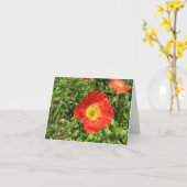 Perfecte Papavers Kaart (Gele Bloem)