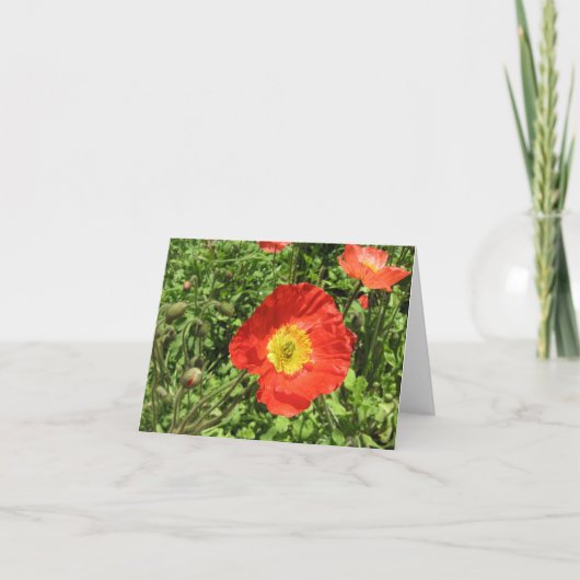Perfecte Papavers Kaart (Voorkant)