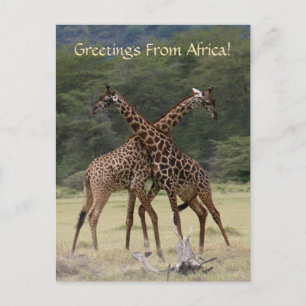 Perfecte Partners - Briefkaart