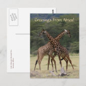 Perfecte Partners - Briefkaart (Voorkant / Achterkant)