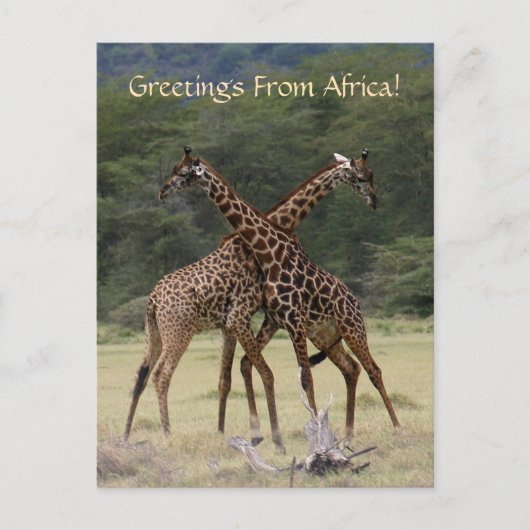 Perfecte Partners - Briefkaart (Voorkant)