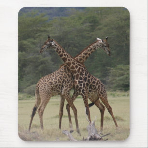 Perfecte partners - Mousepad Muismat