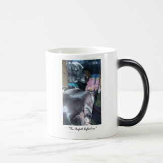 Perfecte reflectie - God/Dog Magische Mok
