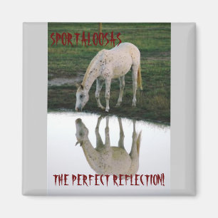 Perfecte reflectie.. magneet