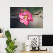 Perfecte roze bloeiende kweepel poster (Thuiskantoor)