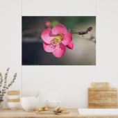 Perfecte roze bloeiende kweepel poster (Keuken)