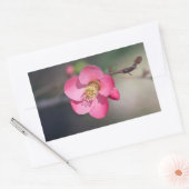 Perfecte roze bloeiende kweepel rechthoekige sticker (Envelop)
