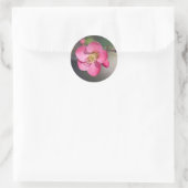 Perfecte roze bloeiende kweepel ronde sticker (Tas)