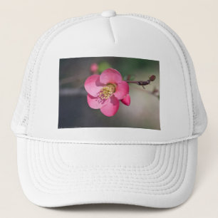Perfecte roze bloeiende kweepel trucker pet