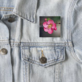 Perfecte roze bloeiende kweepel vierkante button 5,1 cm (In situ)