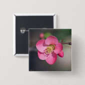 Perfecte roze bloeiende kweepel vierkante button 5,1 cm (Voorkant /achterkant)