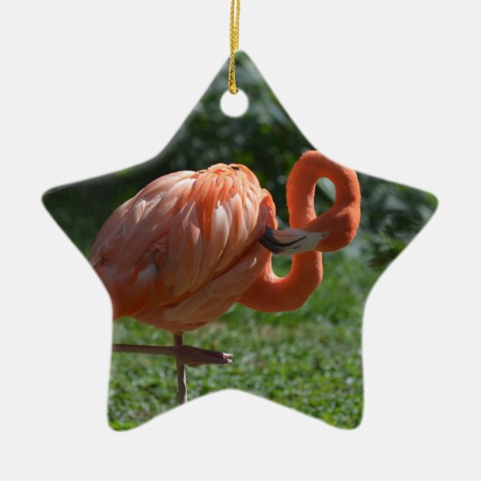 Perfecte roze flamingo keramisch ornament (Voorkant)