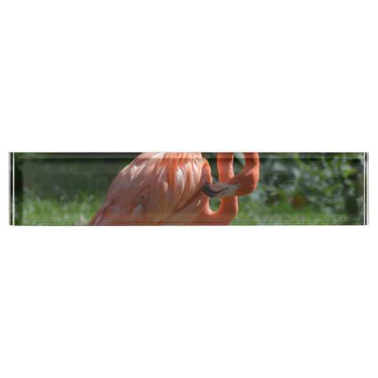 Perfecte roze flamingo naambordje (Voorkant)
