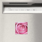 Perfecte roze Rose Magneet (Insitu (Vaatwasser))
